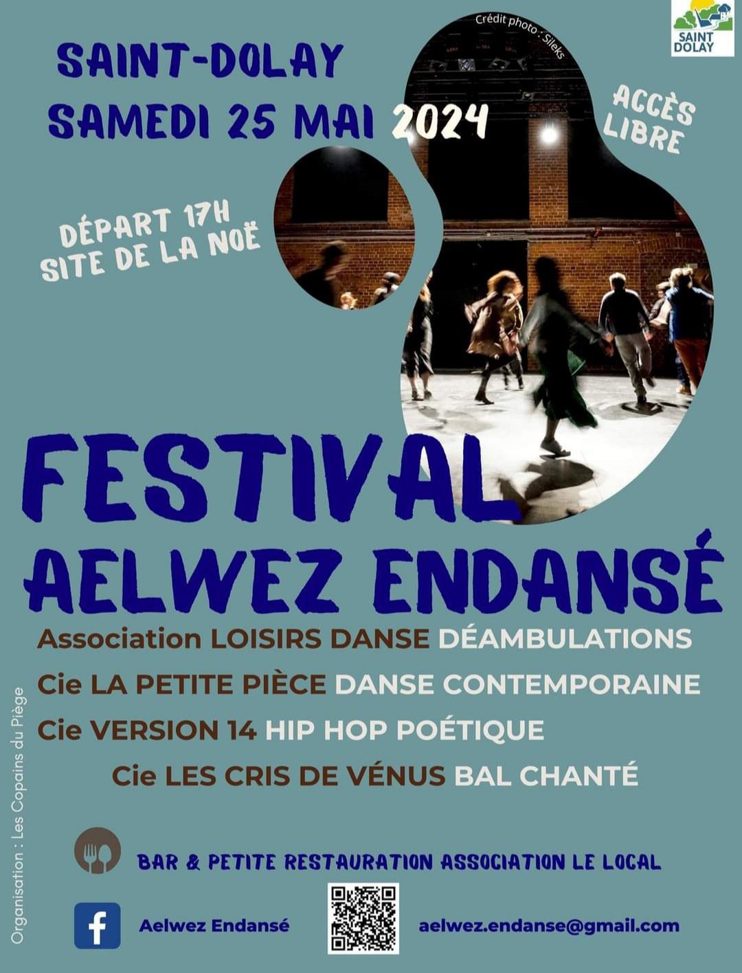 Festival Aelwez Endansé le 25 mai à St Dolay